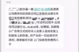 和布克赛尔遇到恶意拖欠？专业追讨公司帮您解决烦恼