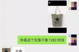 和布克赛尔和布克赛尔专业催债公司的催债流程和方法